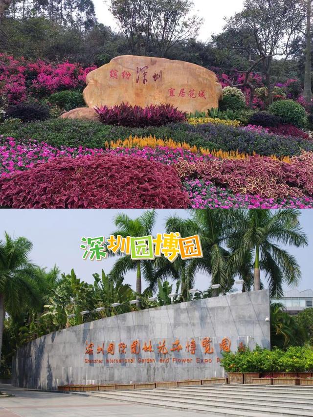 深圳周末好去處 國際園林花卉博覽園，賞花拍照兩不誤