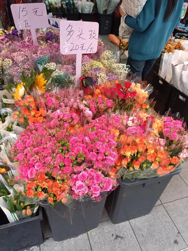 深圳荷蘭花卉小鎮 花的世界，花的海洋，群芳競艷百花齊放