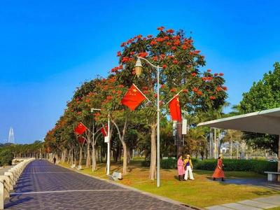 深圳四月花歷 繁花盛宴，赴一場嶺南春日之約