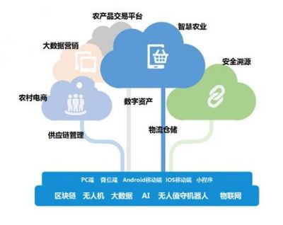 帝隆科技 數字農業賦能供應鏈管理，助推農業產業高效發展